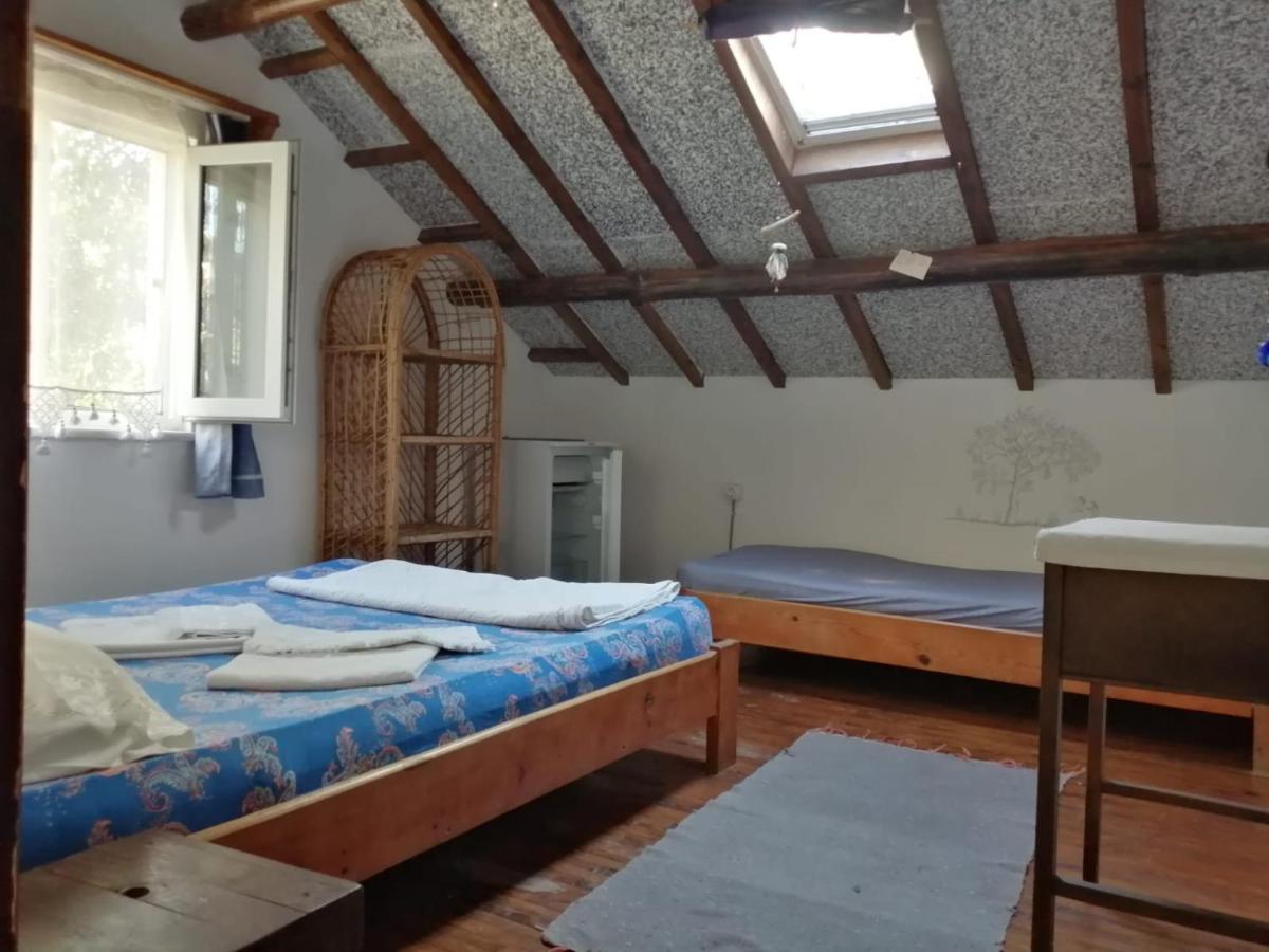 Ecer Pansiyon Kusadası Extérieur photo
