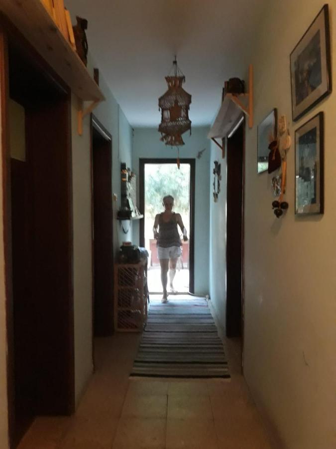 Ecer Pansiyon Kusadası Extérieur photo