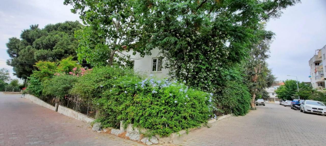 Ecer Pansiyon Kusadası Extérieur photo
