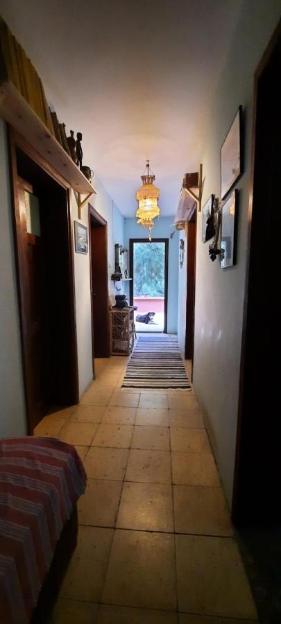 Ecer Pansiyon Kusadası Extérieur photo