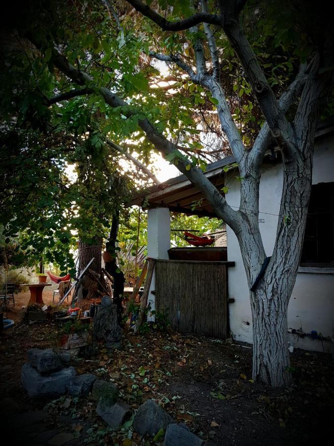 Ecer Pansiyon Kusadası Extérieur photo