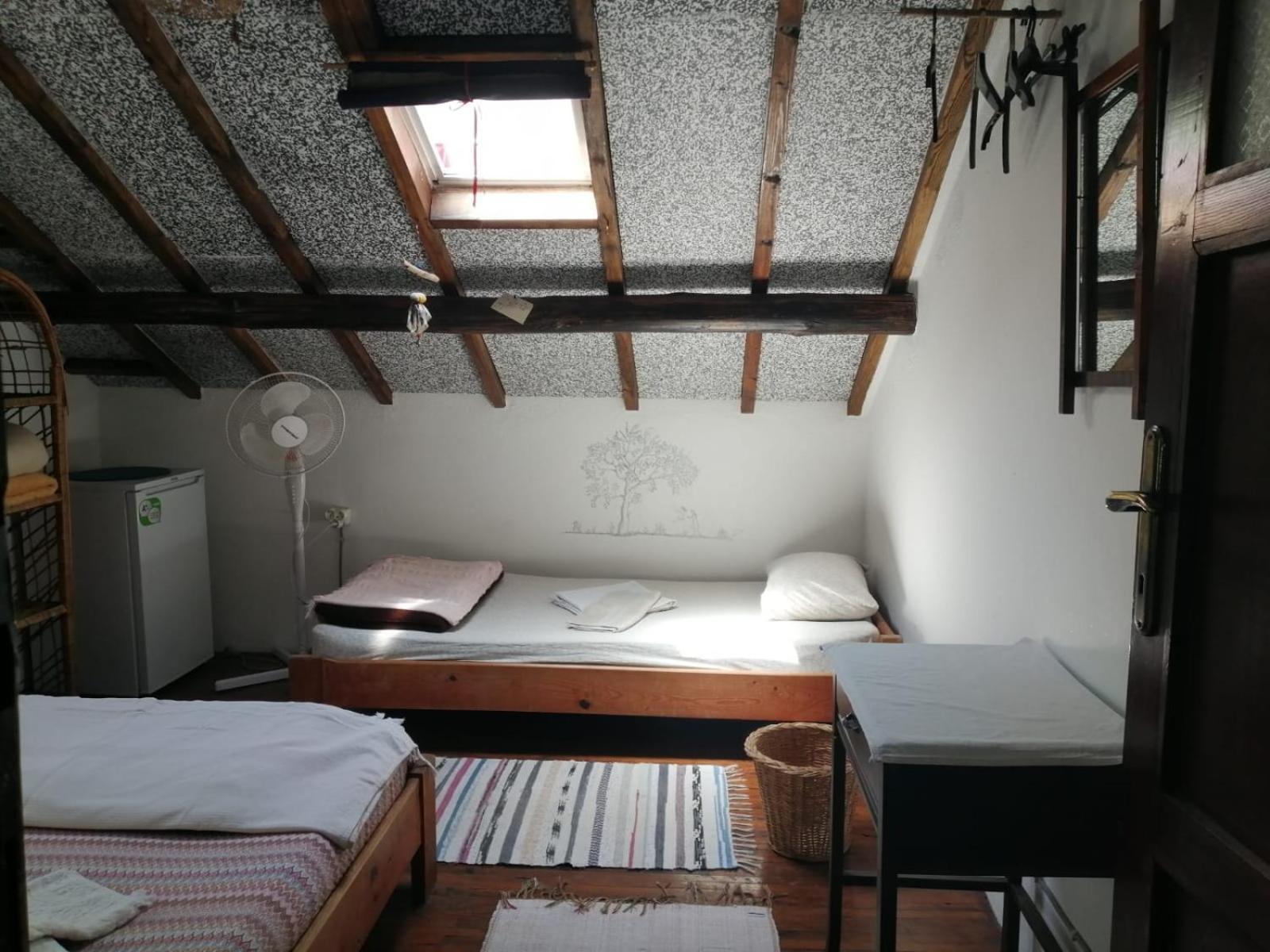Ecer Pansiyon Kusadası Extérieur photo