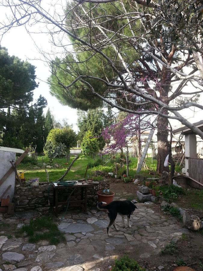 Ecer Pansiyon Kusadası Extérieur photo