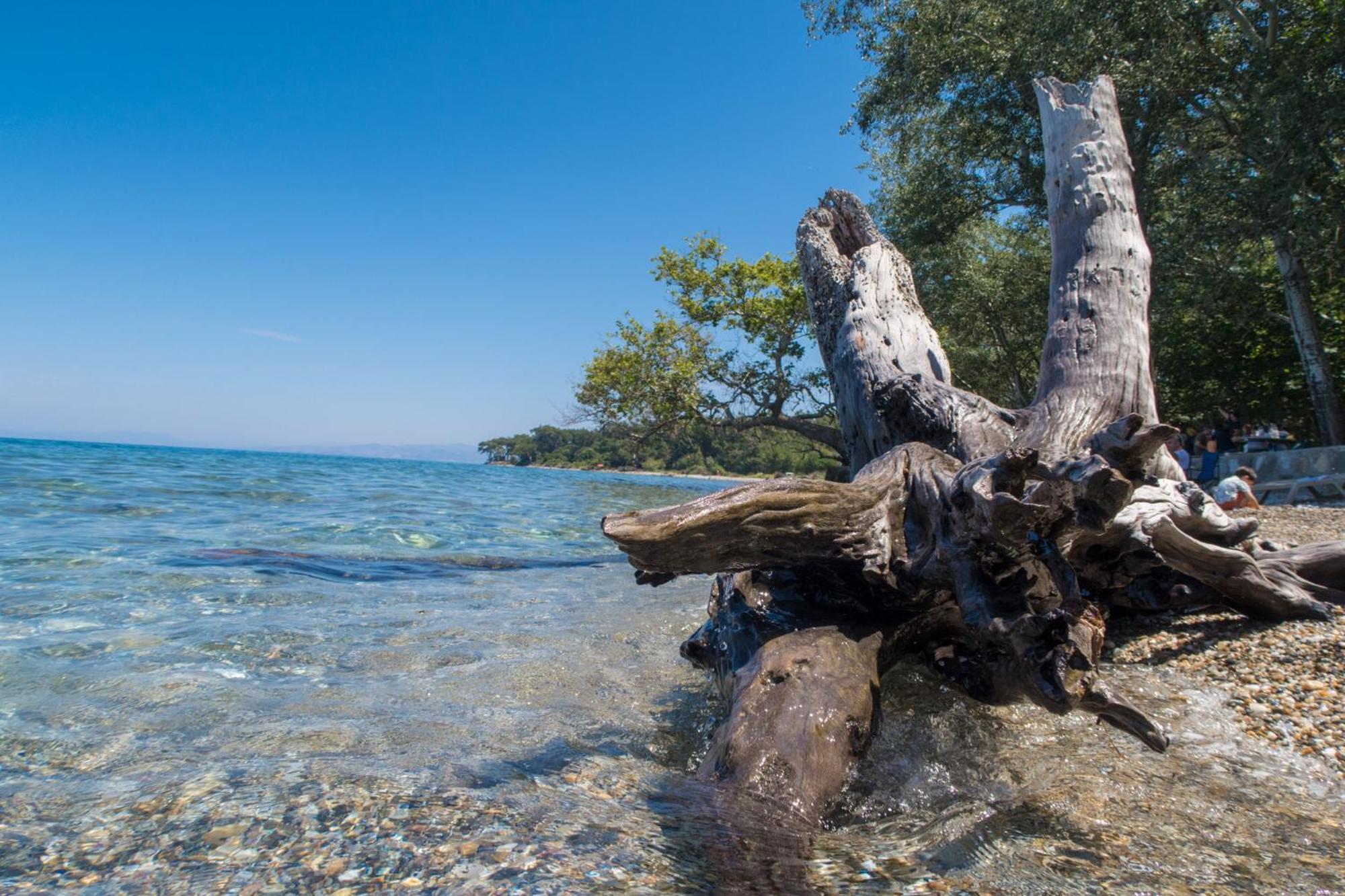 Ecer Pansiyon Kusadası Extérieur photo